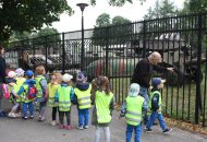 Łowcy i Podróżnicy na Cytadeli