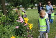 Łowcy i Podróżnicy na Cytadeli