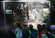 Podróżnicy w ZOO