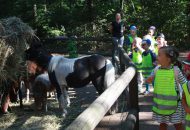 Podróżnicy w ZOO