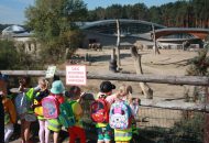Podróżnicy w ZOO