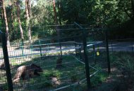 Podróżnicy w ZOO