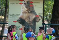 Podróżnicy w ZOO