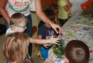 Warsztaty kulinarne Podróżników