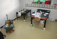 Światowy Dzień Zwierząt