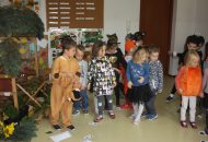 Światowy Dzień Zwierząt
