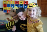 Projekt – Życie pszczół