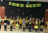 Festiwal piosenki