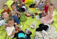 Piknik Muszelek