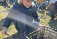 Wycieczka Muszelek i Piratów do Ogrodu Ekologicznego