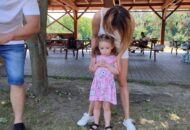 Piknik rodzinny Delfinków i Podróżników