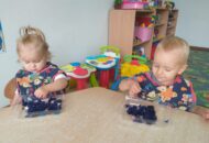 „Wakacyjne wspomnienia” – zabawy sensoryczne galaretką i muszelkami