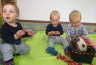 Dzień zwierząt