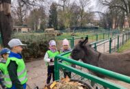 Wycieczka Odkrywców do Starego ZOO