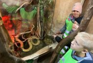 Wycieczka Odkrywców do Starego ZOO