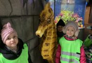 Wycieczka Odkrywców do Starego ZOO