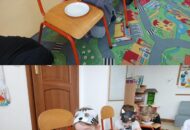 Światowy Dzień Kota