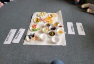 Projekt „Gramy zmysłami” – Smak