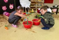 Projekt edukacyjny „Życie na farmie”