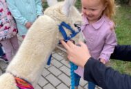 Światowy Dzień Zwierząt