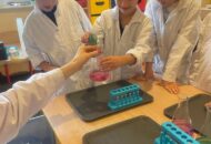 Warsztaty chemiczne Muszelek