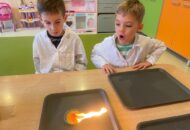 Warsztaty chemiczne Muszelek