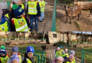 Wycieczka Łowców i Rybek do Starego ZOO