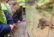 Łowcy i Poszukiwacze w Starym ZOO