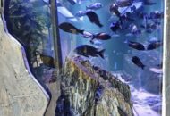 Łowcy i Poszukiwacze w Starym ZOO