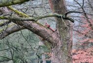Przedszkolaki w Ogrodzie Botanicznym