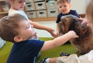 Dogoterapia