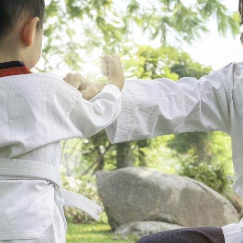 midsection-male-karate-instructor-teaching-karate-boy-against-trees midsection-male-karate-instructor-teaching-karate-boy-against-trees